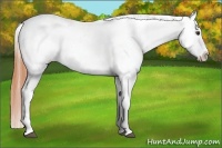 Horse Color:Bay Roan Dun Varnish 