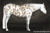 Horse Color:Silver Smoky Black Appaloosa 