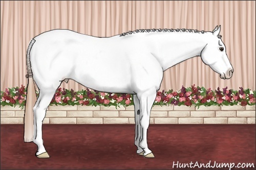 Horse Color: Red Roan Snowcap 