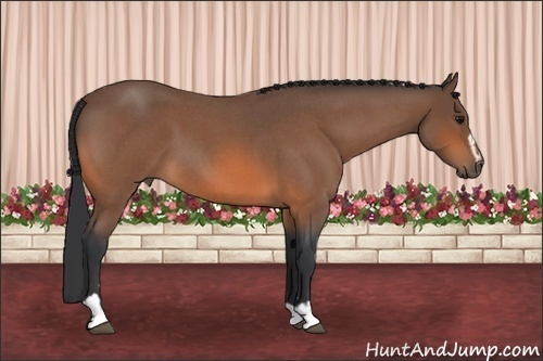 Horse Color: Bay Roan Sabino 