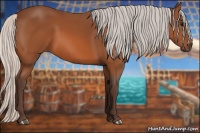 Horse Color:Silver Bay 