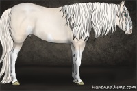Horse Color:Gold Cream Champagne Pearl 