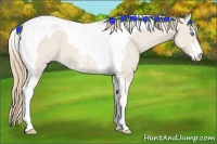 Horse Color:Smoky Creme Dun Sabino Tobiano 