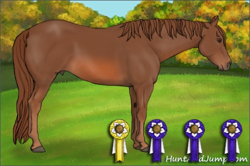 Horse Color: Liver Chestnut Sabino Rabicano 