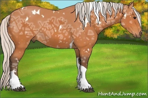 Horse Color: White Spotted Silver Bay Ice Tobiano 
