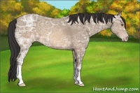 Horse Color:Sable Champagne Ice 