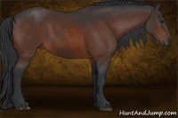 Horse Color:Brown 
