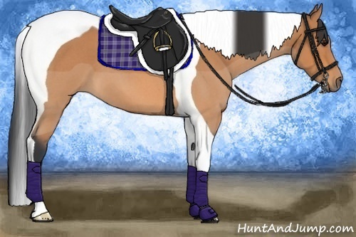 Horse Color:Bay Roan Tobiano