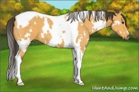 Horse Color:White Spotted Buckskin Tobiano 