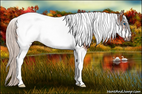 Horse Color: Silver Brown Sabino Tobiano Frame Rabicano 