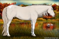Horse Color:Smoky Creme Tobiano 