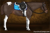 Horse Color:Liver Chestnut Tobiano