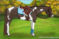 Horse Color:Liver Chestnut Tobiano Frame Varnish 