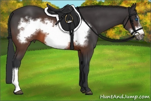 Horse Color:Brown Frame 