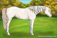 Horse Color:Perlino Dun Tobiano 