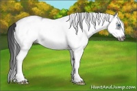 Horse Color:White Spotted Black Splash Frame 