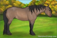 Horse Color:Brown Roan Dun 