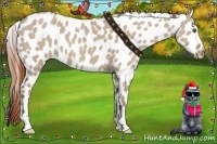 Horse Color:Classic Champagne Dun Leopard 