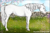 Horse Color:Silver Perlino Dun 
