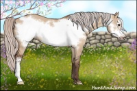 Horse Color:Silver Bay Dun Frame