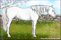 Horse Color:Silver Brown Dun Splash Appaloosa 
