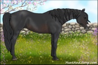 Horse Color:Brown Frame 