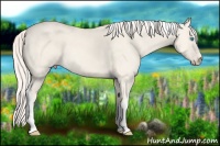 Horse Color:Cremello Dun Sabino Tobiano 