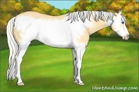 Horse Color:Silver Classic Cream Champagne Splash Frame 