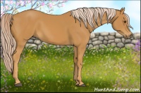 Horse Color:Palomino 