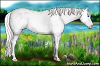 Horse Color:Smoky Creme Dun Splash Frame