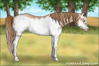 Horse Color:Brown Pearl Splash Frame 