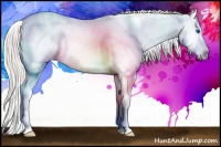 Horse Color:Silver Black Splash Appaloosa Rabicano 