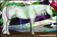 Horse Color:Silver Black Splash Appaloosa 