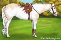 Horse Color:Silver Amber Champagne Dun Splash Frame 