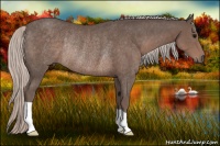 Horse Color:Silver Black Rabicano 
