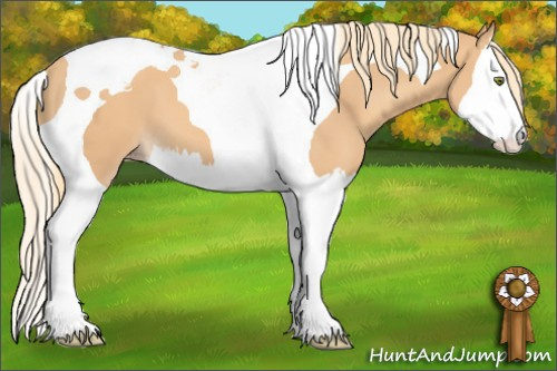 Horse Color: Gold Champagne Splash Tobiano 