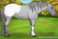 Horse Color:Blue Roan Snowcap 