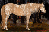 Horse Color:Cremello Splash Brindle