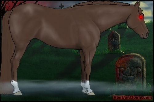 Horse Color: Liver Chestnut 