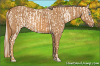 Horse Color:Cremello Splash Brindle
