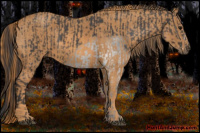 Horse Color:Smoky Blue Roan Splash  Brindle