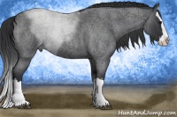 Horse Color:Blue Roan Splash 
