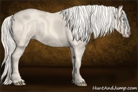 Horse Color:Cremello Splash Brindle