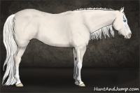 Horse Color:Cremello Roan Splash  Brindle