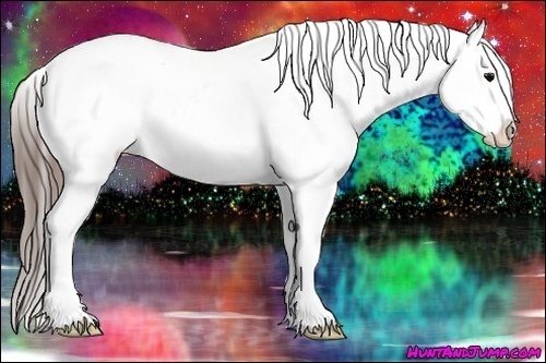 Horse Color: Grullo Snowcap 