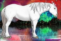 Horse Color:Grullo Snowcap 