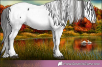 Horse Color:Black Splash Fewspot 