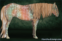 Horse Color:Cremello Splash Rabicano Brindle