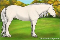 Horse Color:Cremello Splash  Brindle