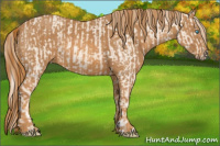 Horse Color:Cremello Splash  Brindle